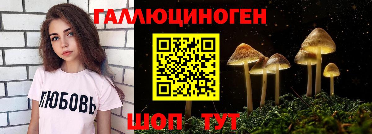Кострома  Галлюциногенные грибы прущие грибы  Вход с VPN 